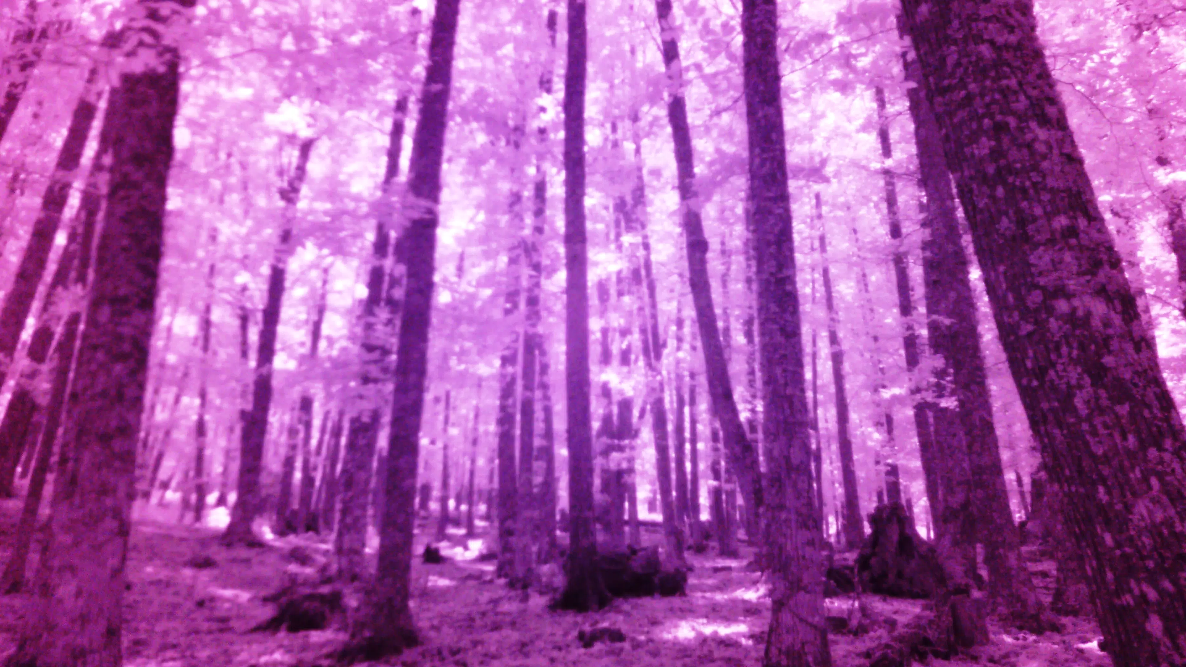 RGM InfraRedCAM 1-external cam Screenshots