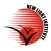 New Light Institute
