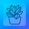 Plant Growing Digital System