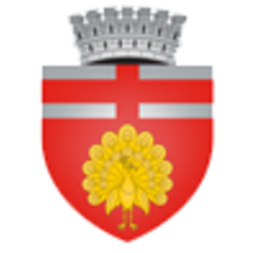 Botosani City Report