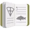 Carp Fishing Diary
