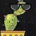 Cactus Avenue