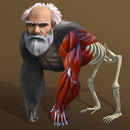 Idle Evolution - Cell to Human Idle Evolution - Cell to Human