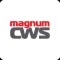 MagnumCWS - автокомплекс