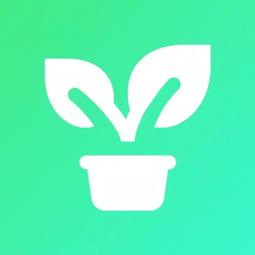 my Flowers Комнатные растения my Flowers Комнатные растения
