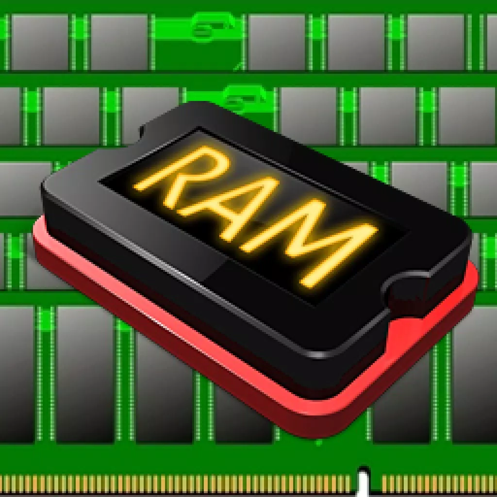 RAM status ("random access memory" status of device). RAM status ("random access memory" status of device).