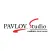 Pavlov Studio