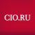 Директор информационной службы