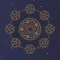 Tarot Reader L