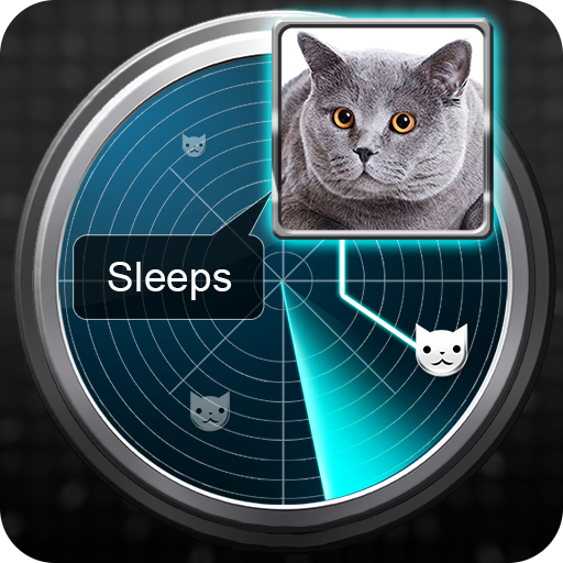 Radar What Makes Cat Joke Radar What Makes Cat Joke