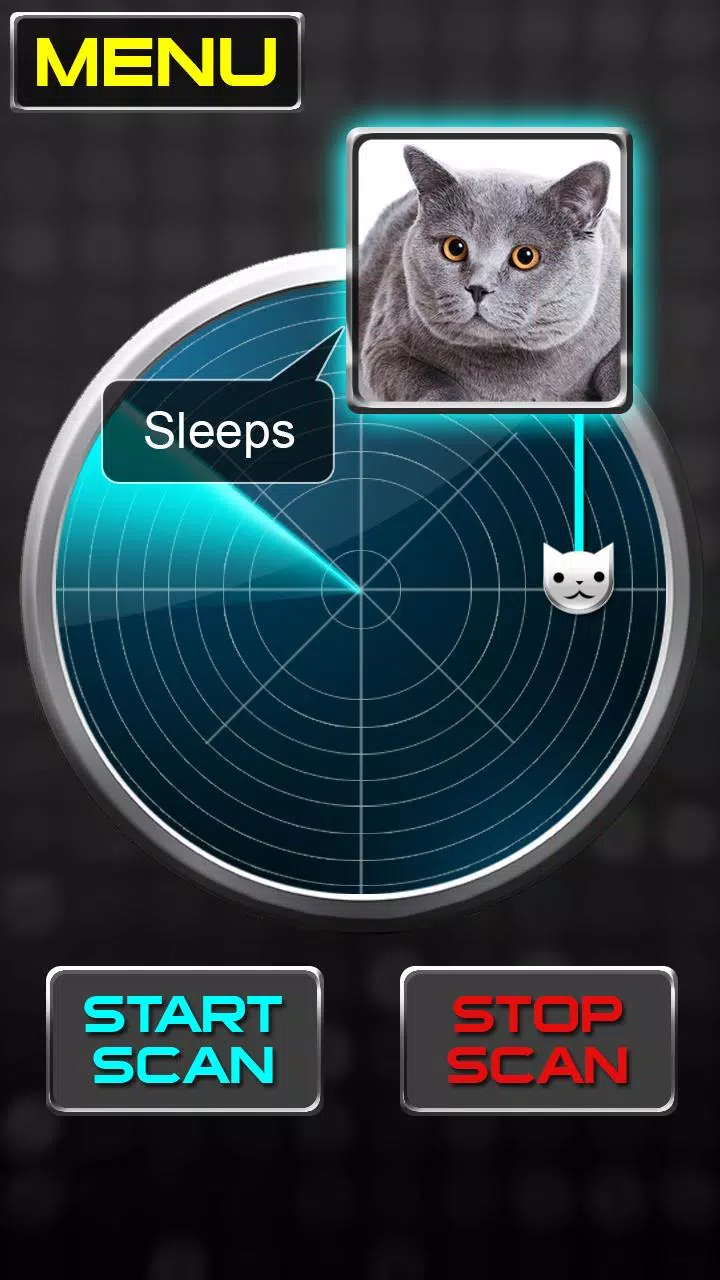 Radar What Makes Cat Joke Screenshots