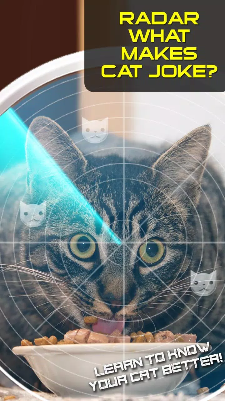 Radar What Makes Cat Joke Screenshots