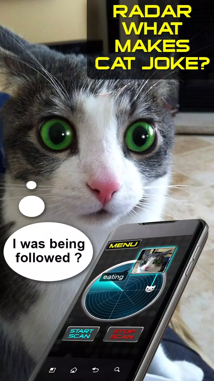 Radar What Makes Cat Joke Screenshots