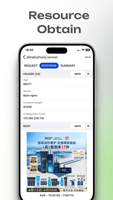 Network Sniffer Screenshots
