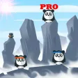 マスターパンダ プロ