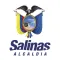 Ciudad de Salinas