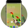 Colorful Birds Theme for Samsung Galaxy Fame Lite