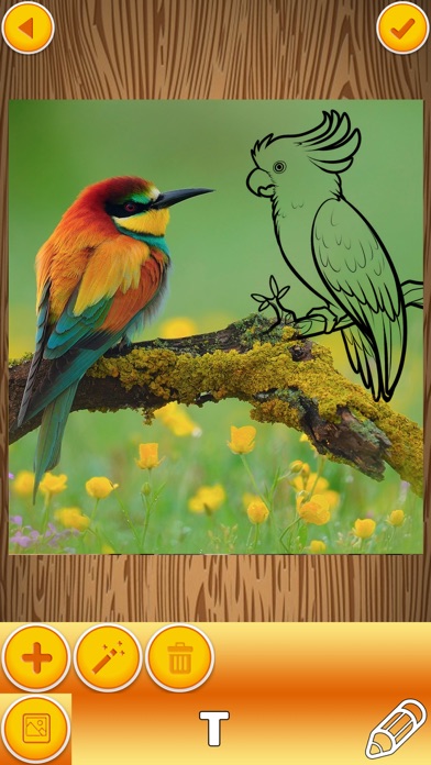 Paint on Pics – Write on Photos to Make your Memes Screenshots