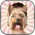Animal Head Photo Montage Maker – Best Funny Face Changer and Pic Editor with Cool Sticker.s