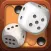Backgammon Board Game 2024