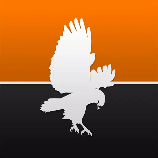 Онлайн консультант NETROX SC Онлайн консультант NETROX SC