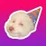Dog Face - Funny Dog Memes and Faces