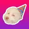 Dog Face - Funny Dog Memes and Faces