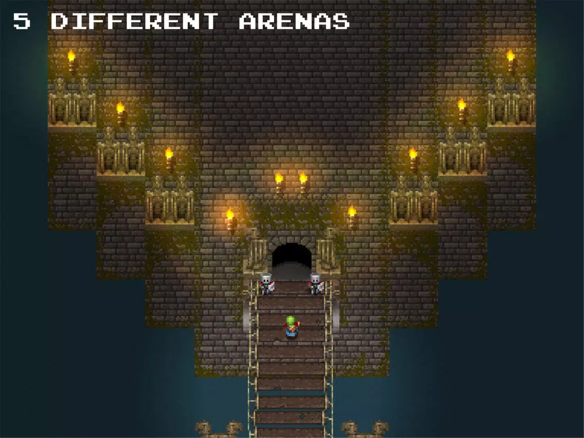 Hammerwatch Coliseum iPad 應用截圖