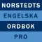 Norstedts engelska ordbok Pro