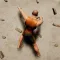 Speed-Climber