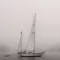 Fog Horn