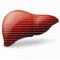 NAFLD Score