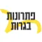 יואל גבע - פתרונות בגרות