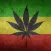 Strains of Weed