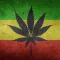Strains of Weed