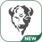 Bison Driver