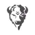 Bison Driver App