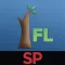 SP IFL