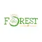 Little Forest