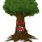 Forest Survival