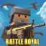 Pixel Battle Royale