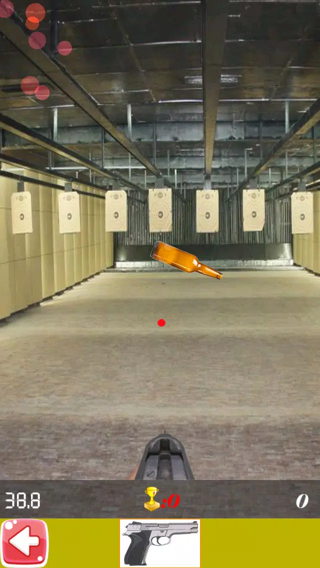 Shooting Bottle Fun Screenshots
