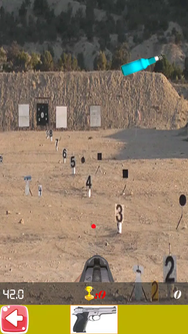 Shooting Bottle Fun Screenshots