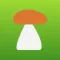My Mushroom Locations
