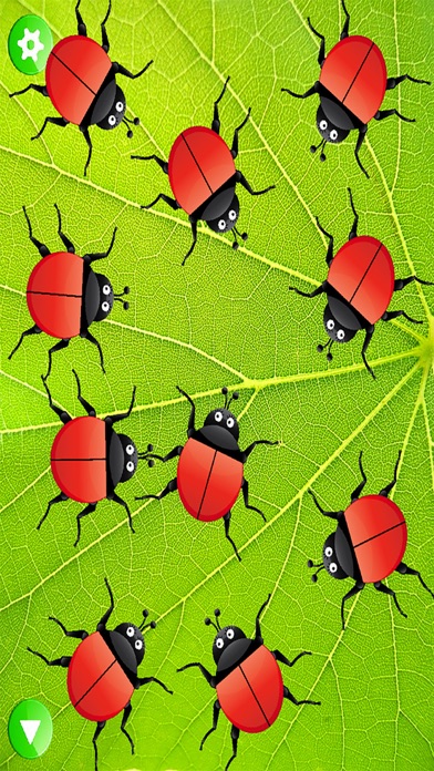 تصاویر Ladybug Dolch Sight Words