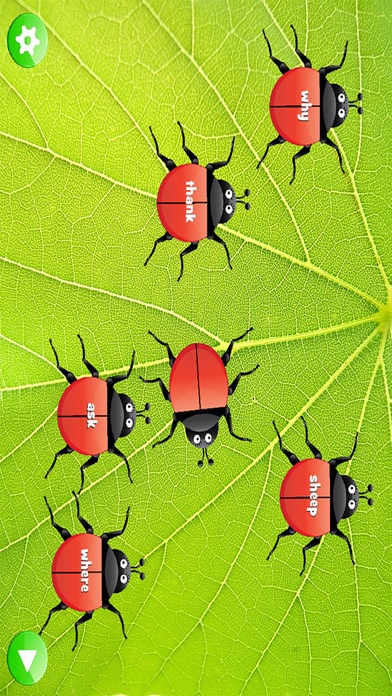 تصاویر Ladybug Dolch Sight Words