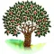 Apple Tree!