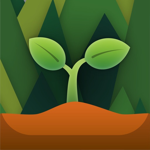 Grove — Adopt a Tree Grove — Adopt a Tree