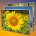 Slideshow 3D