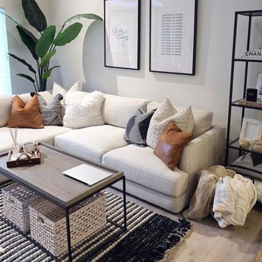 Living Room Couches Living Room Couches